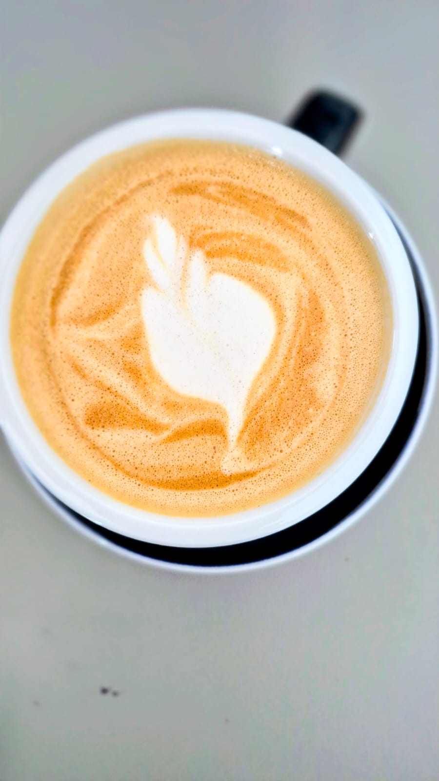 Handcrafted coffee from Falak Haus